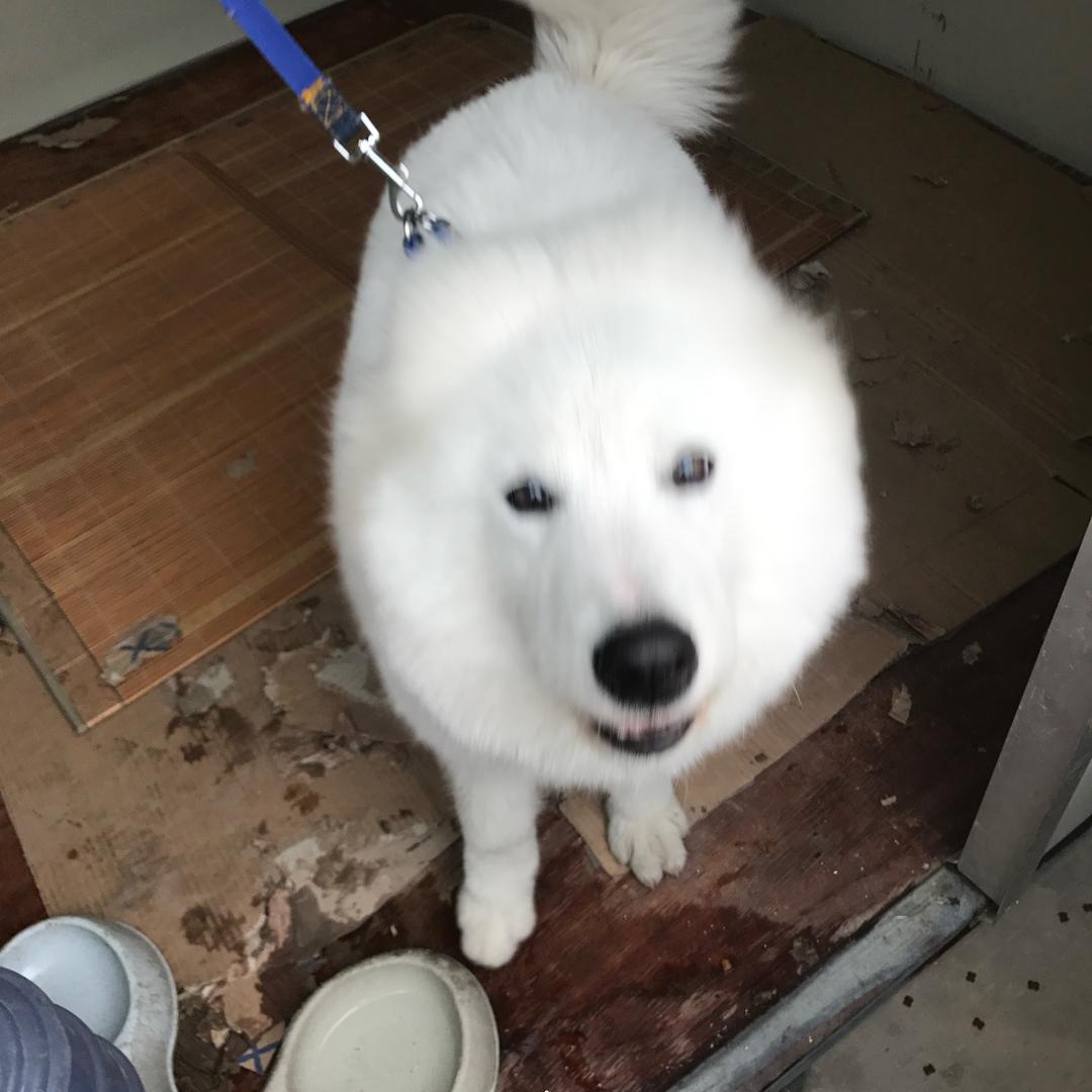 十亿少女梦