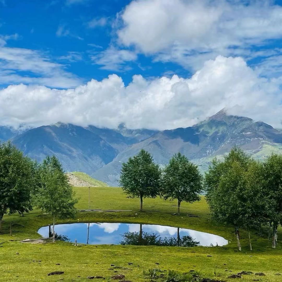 གངས་རྩེ་མོ་