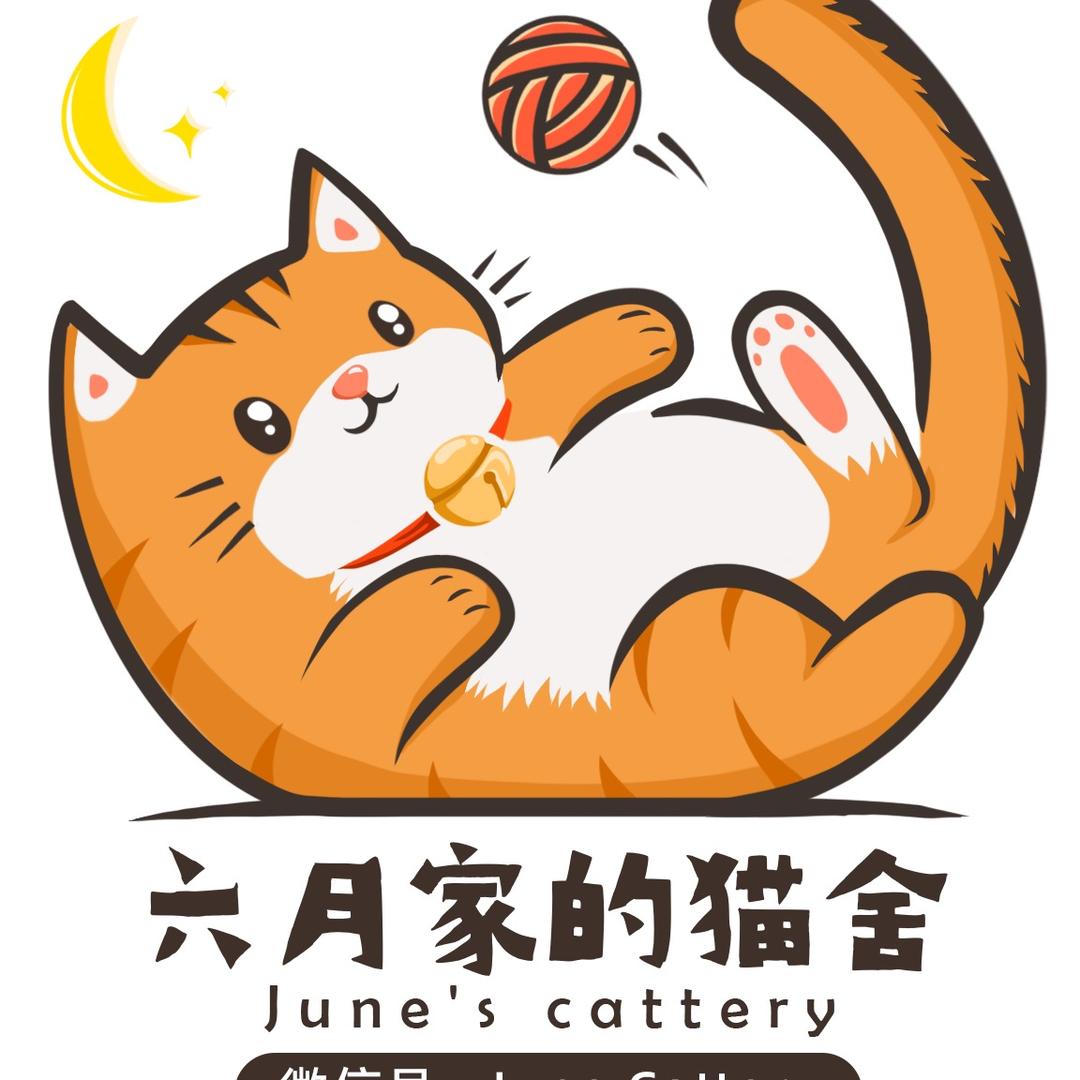 ✨ོ六月家的猫舍CATএ᭄゛ 😼