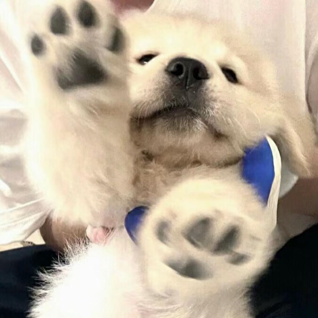 王三岁