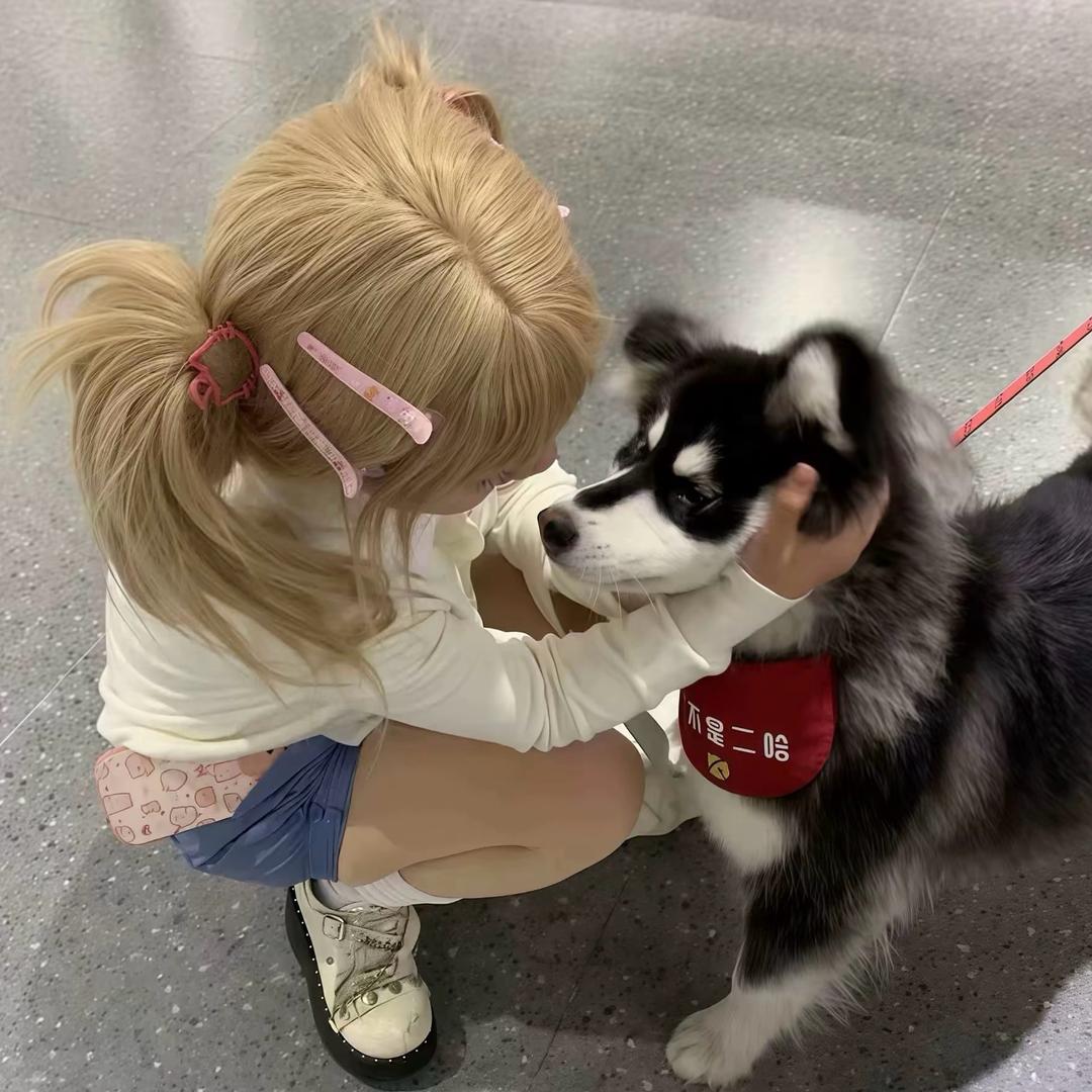 取名叫想