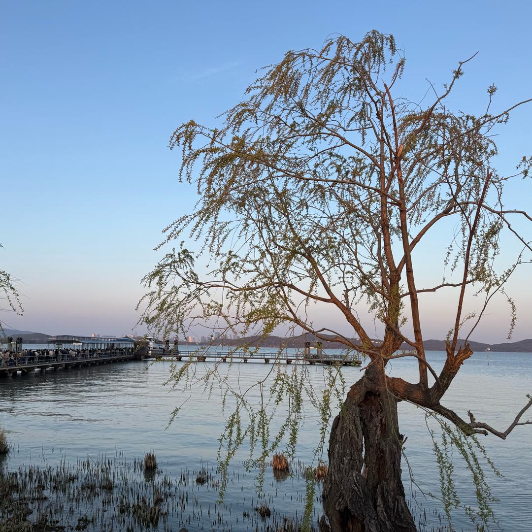 王同学👩‍🎓