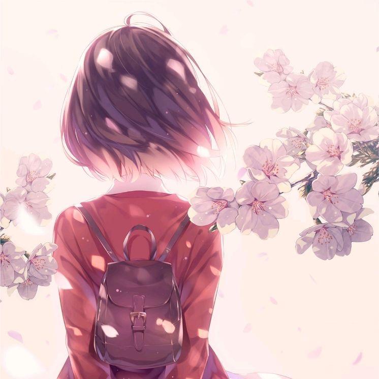 祥宝不绘画（X）