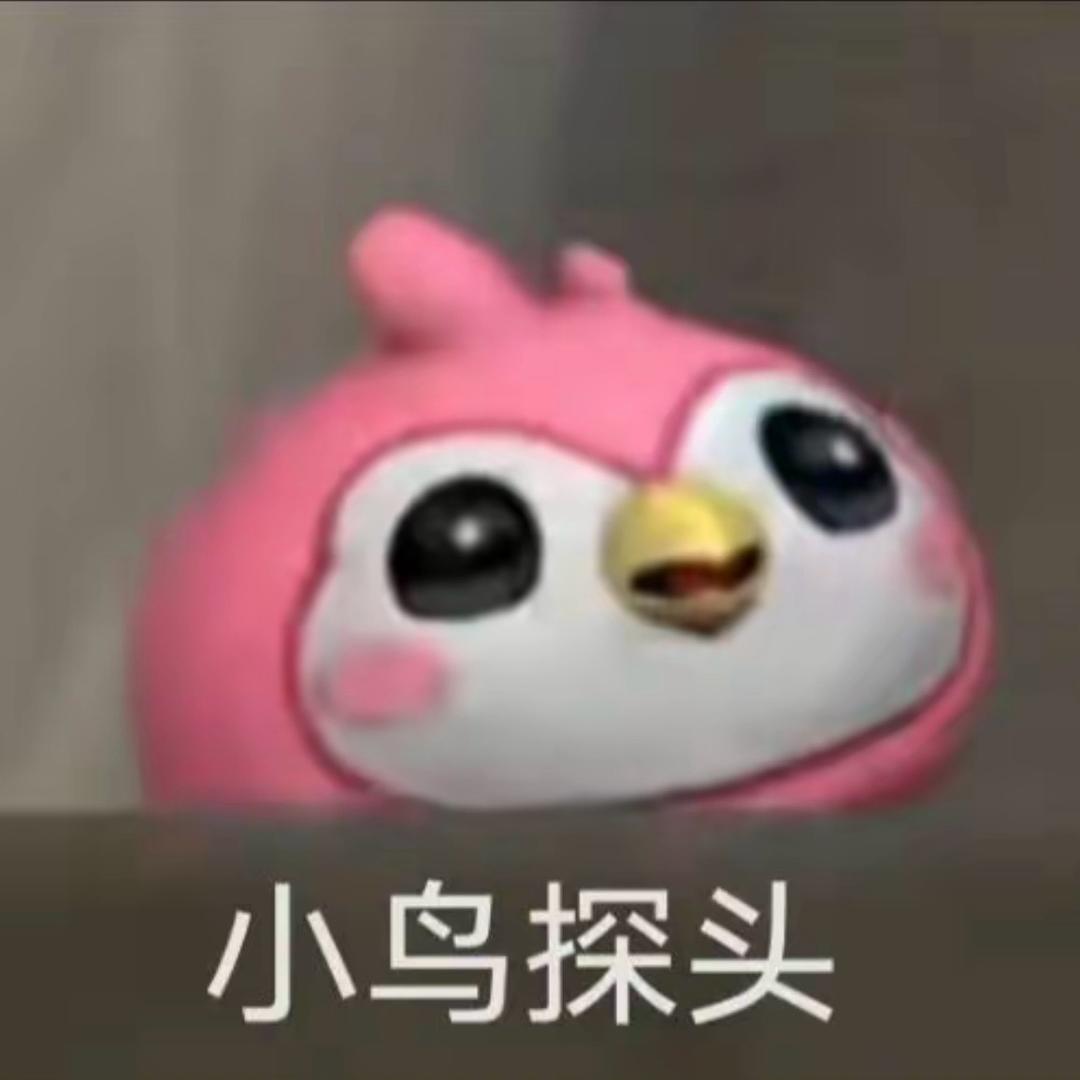 壹个鸟头.