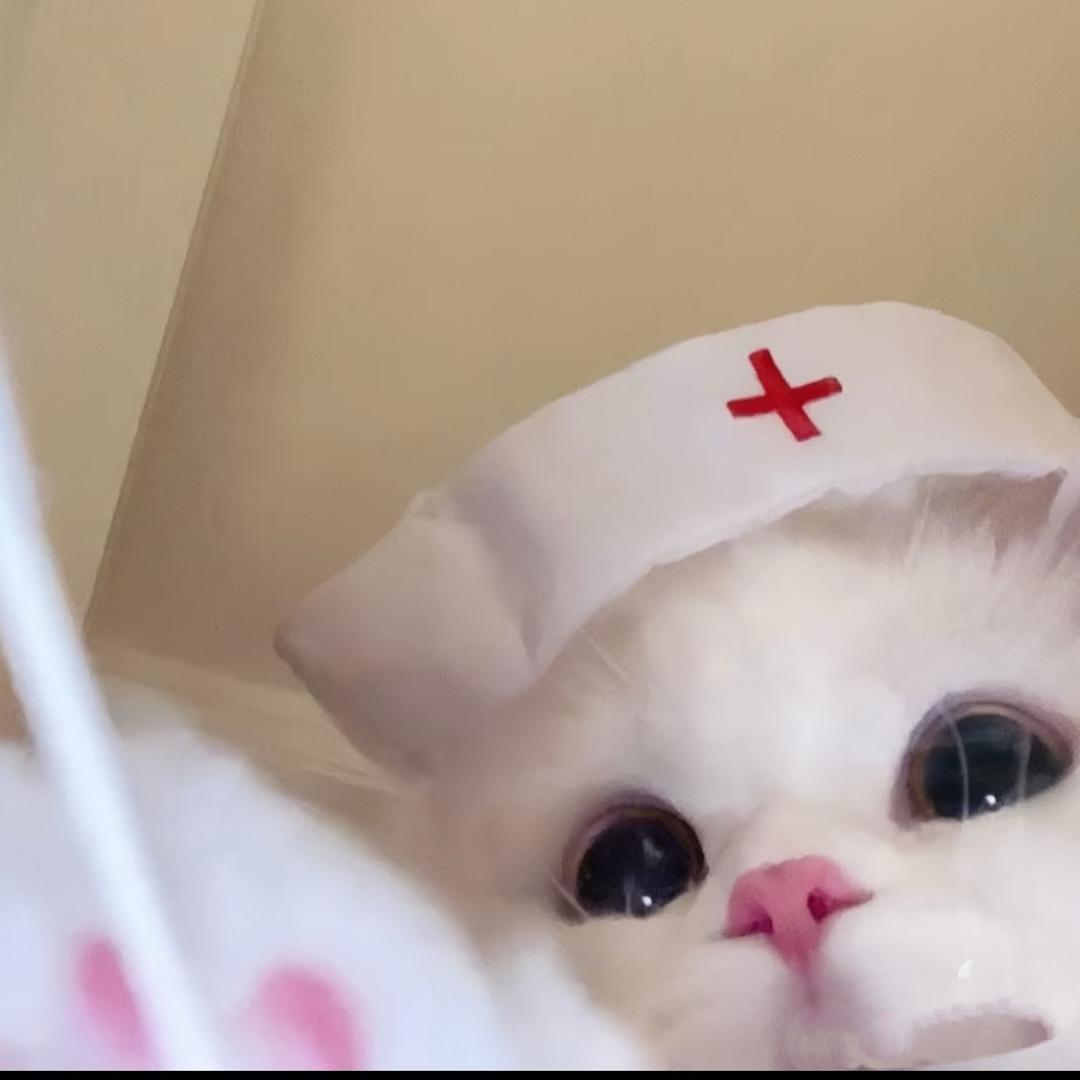 新西兰方块