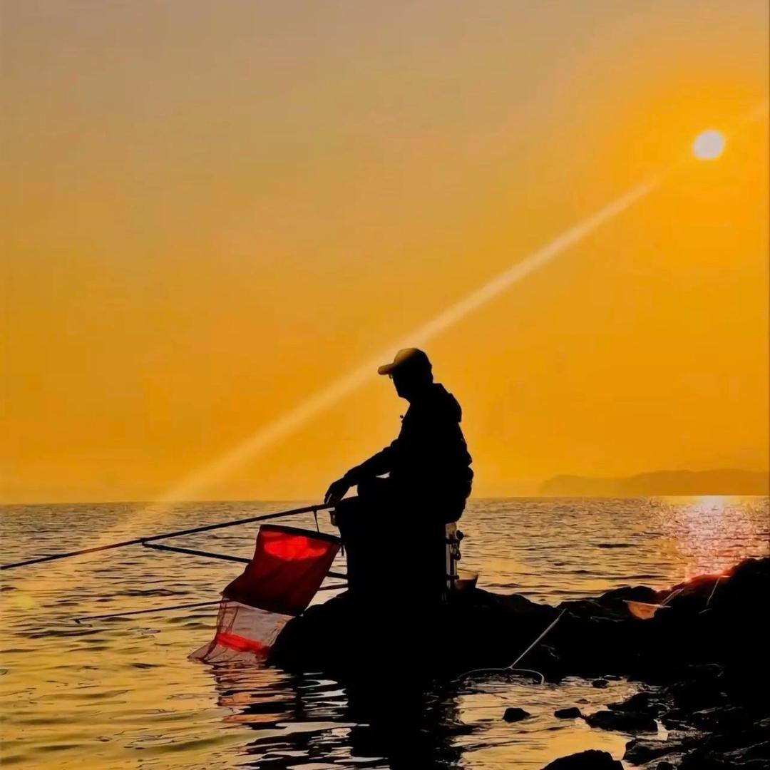 𝑴𝑨𝑶𝑻𝑨𝑰•拉菲哥🎣