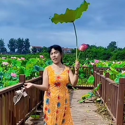 好运相随萍