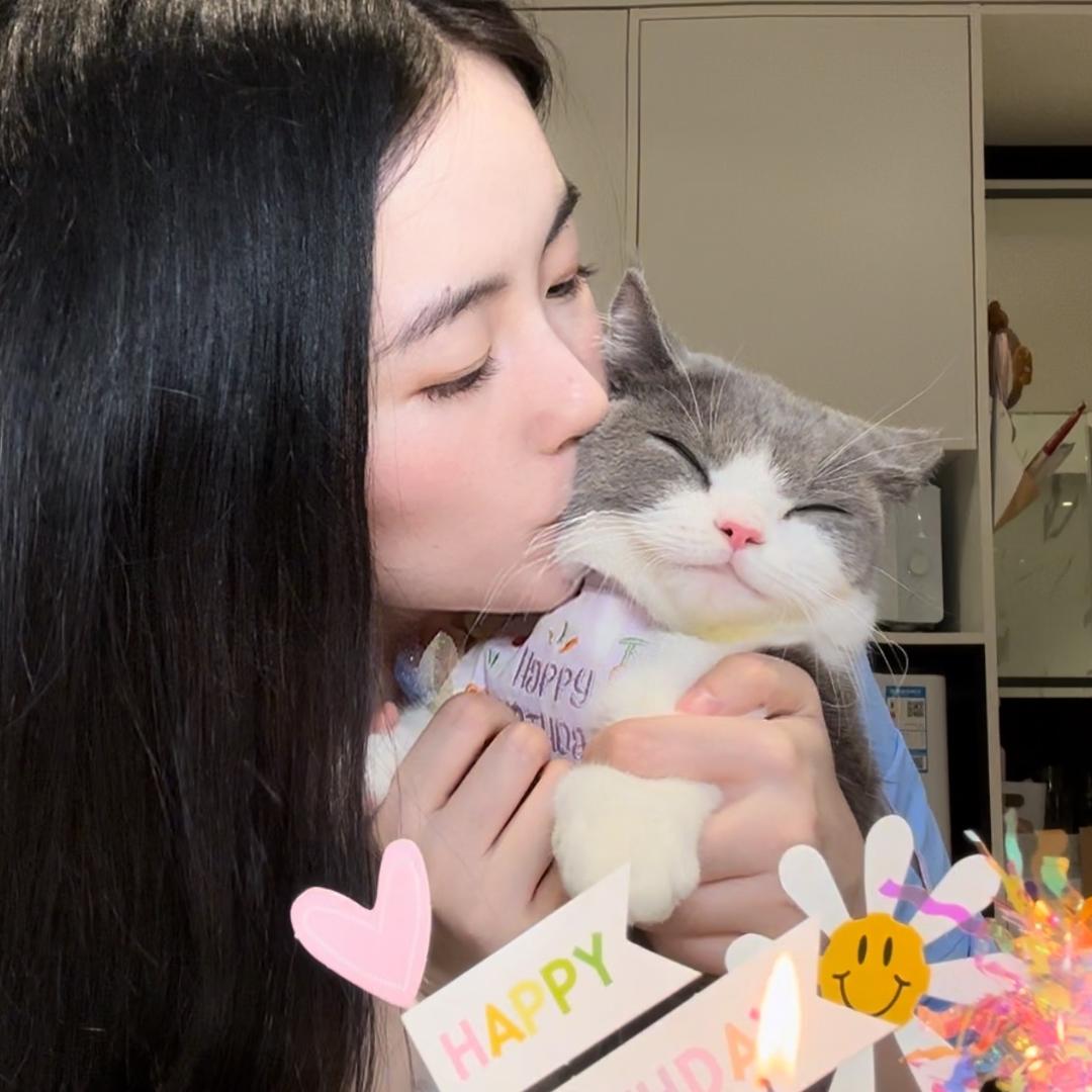 陈陈的宝贝们