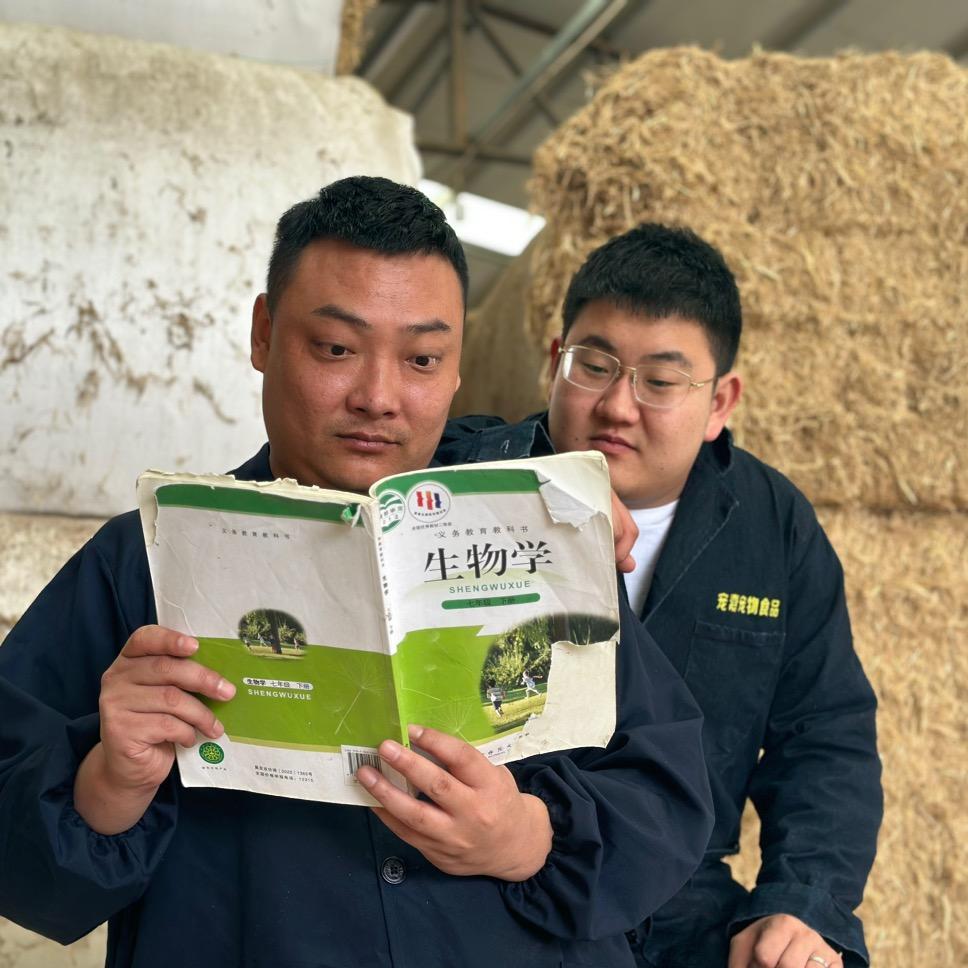 小刘范牛