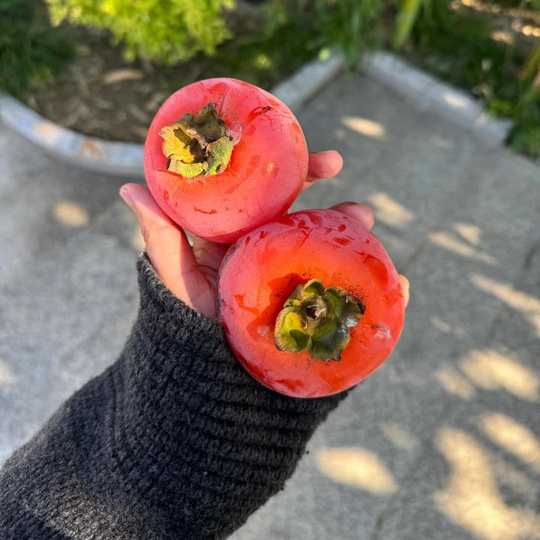 沛珊～～