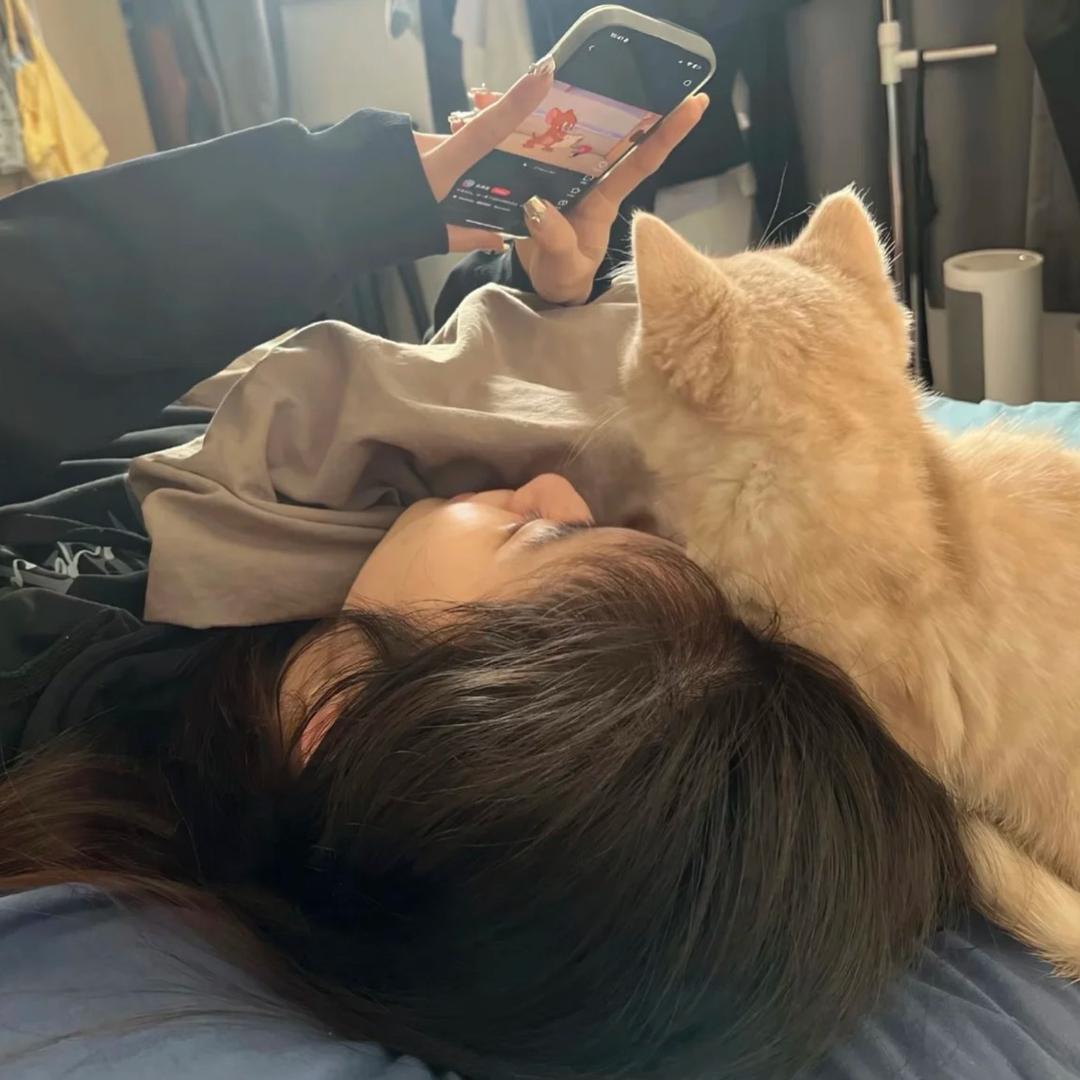一只眠羊