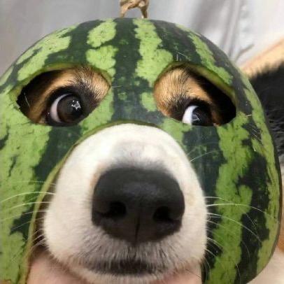 小阿臭