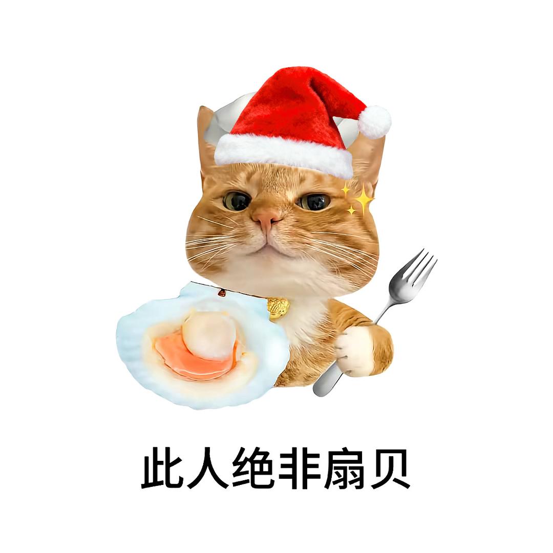 小雨a