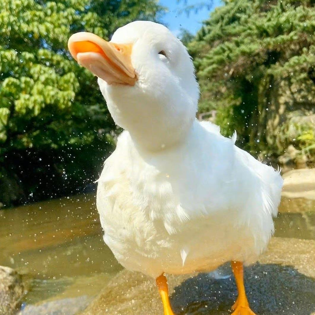明天见，