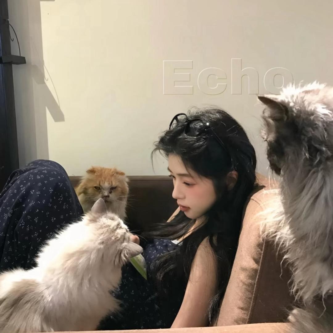 旺仔小薛饼🫓