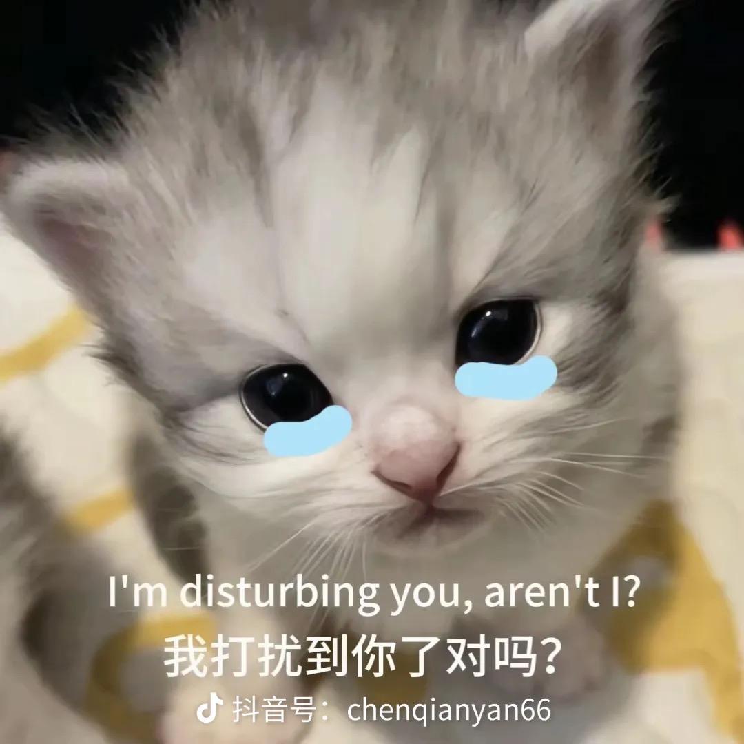 土豆🥔