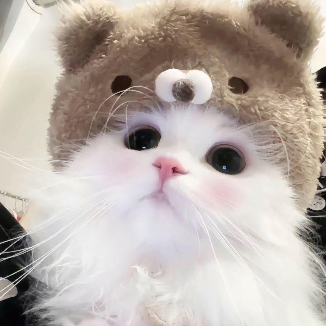 花.