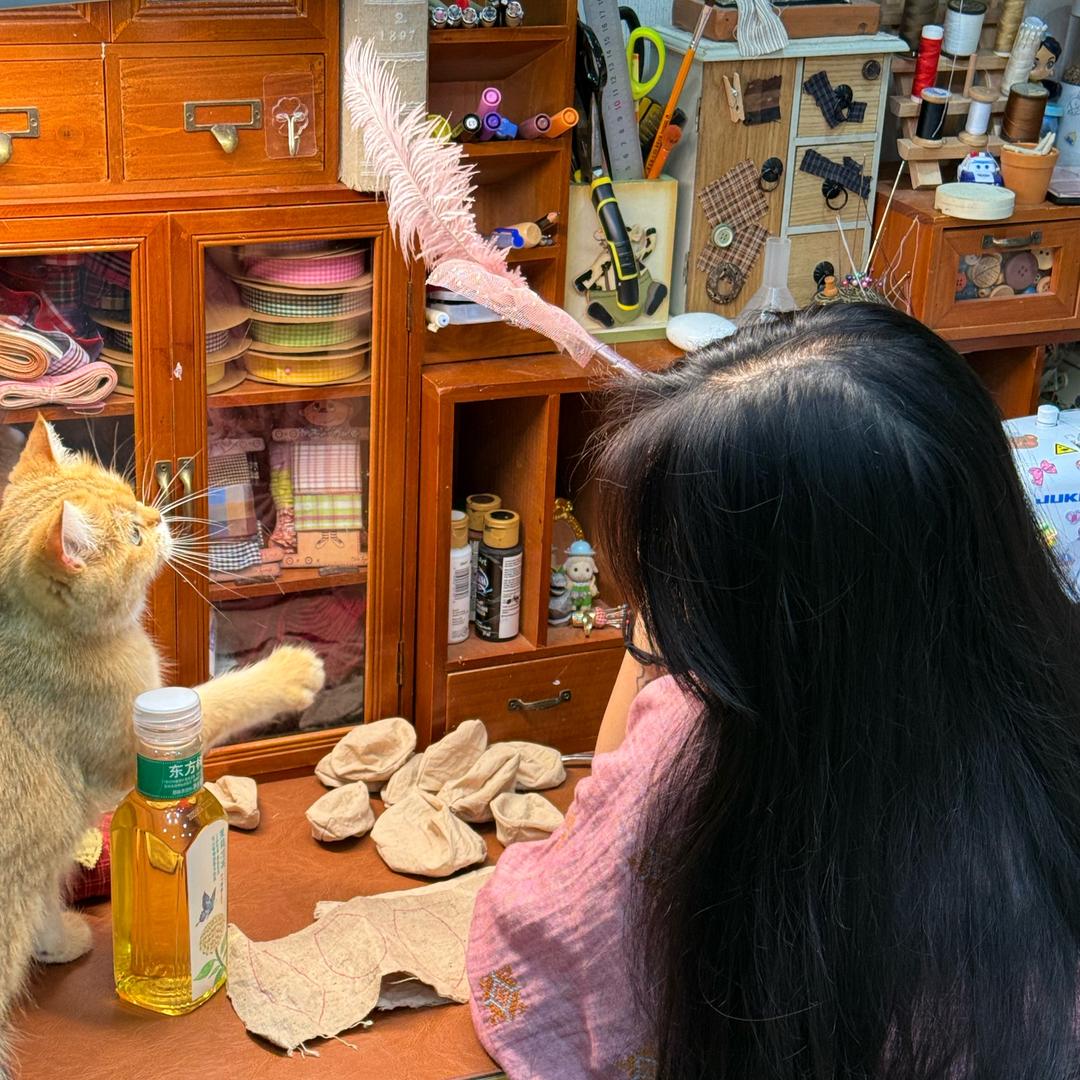 小张的工作日记