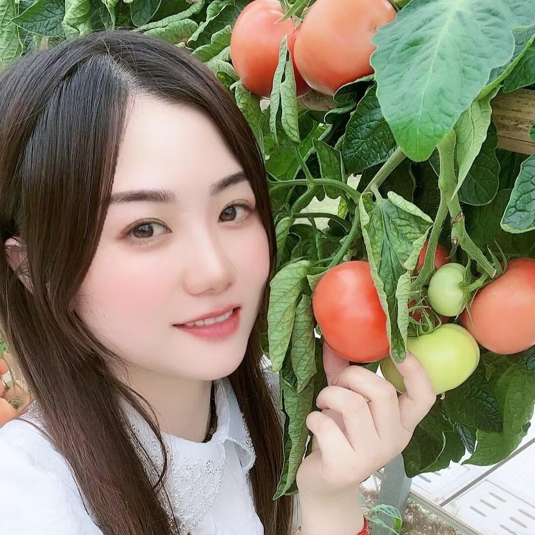 这有花🌷花礼（接单中）