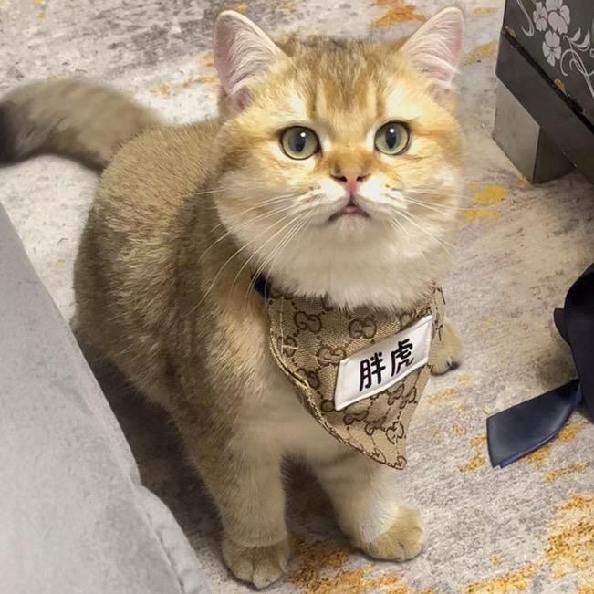 阿柯票务