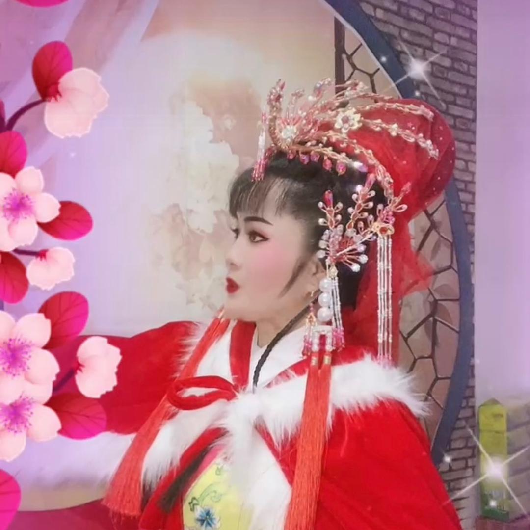 毛毛🍀黄梅戏🍭