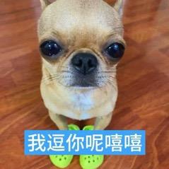 人总这样