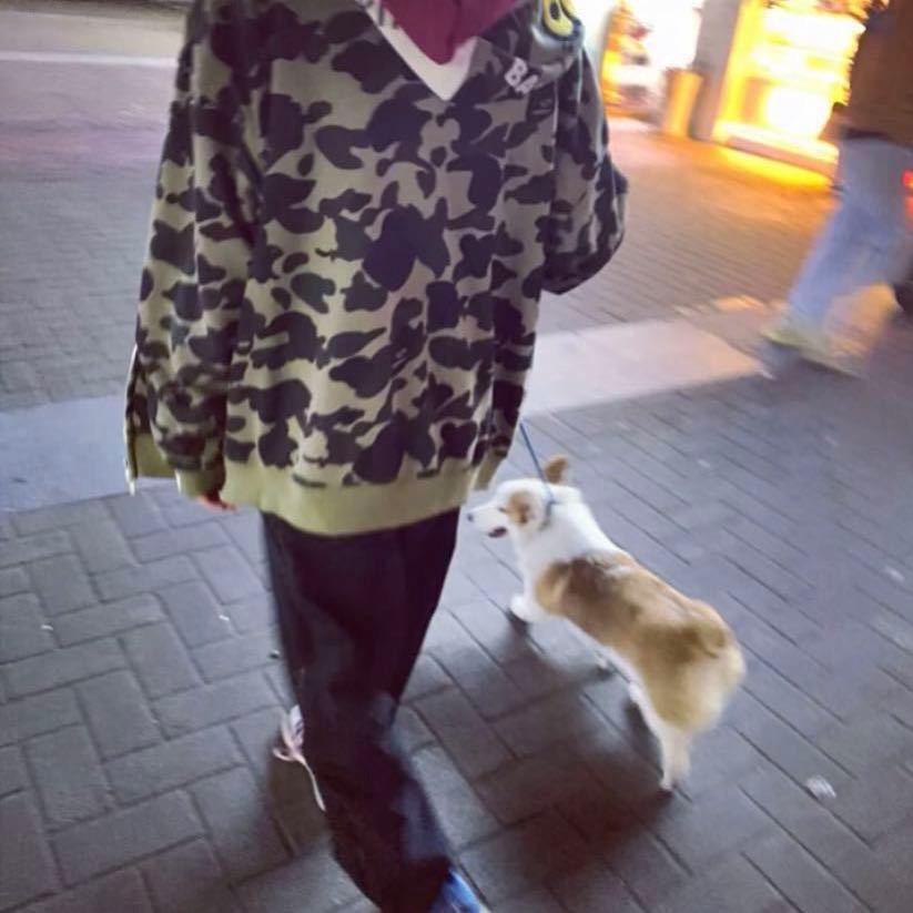 亲我别碰我兔牙