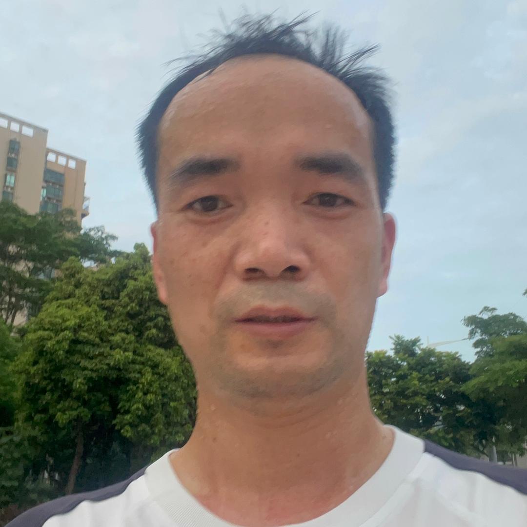 一棵小白杨