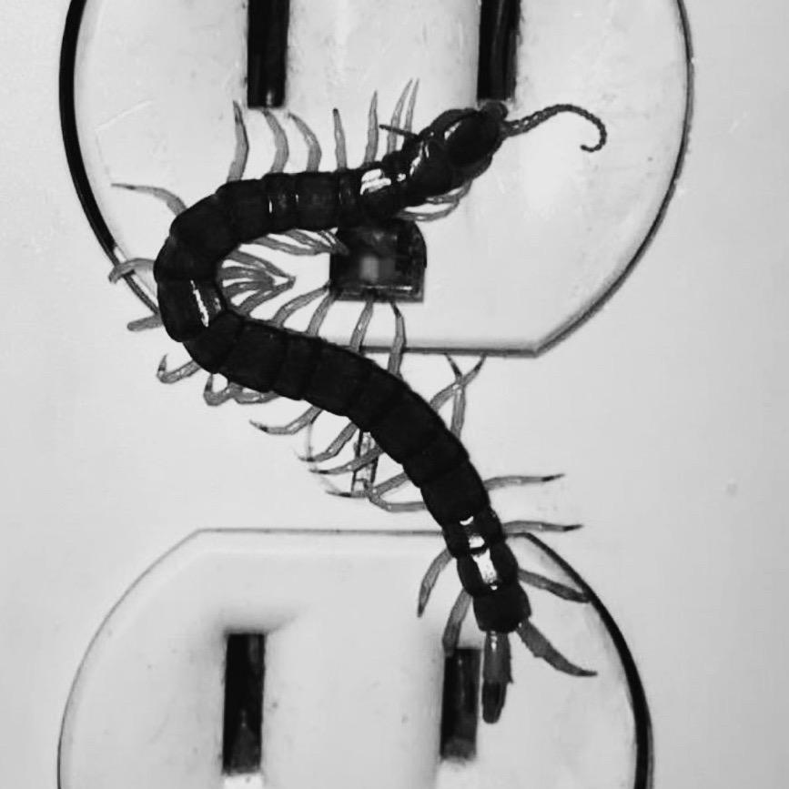 CenTipede