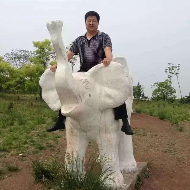 宋池土黄牛溜达马（招收学员）