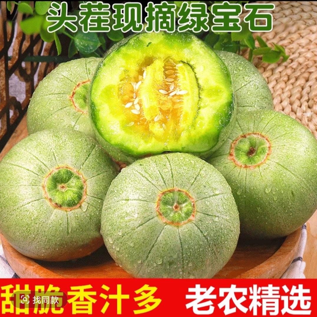 果色天香-绿宝石甜瓜