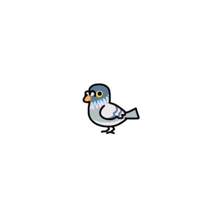 咕咕🐦