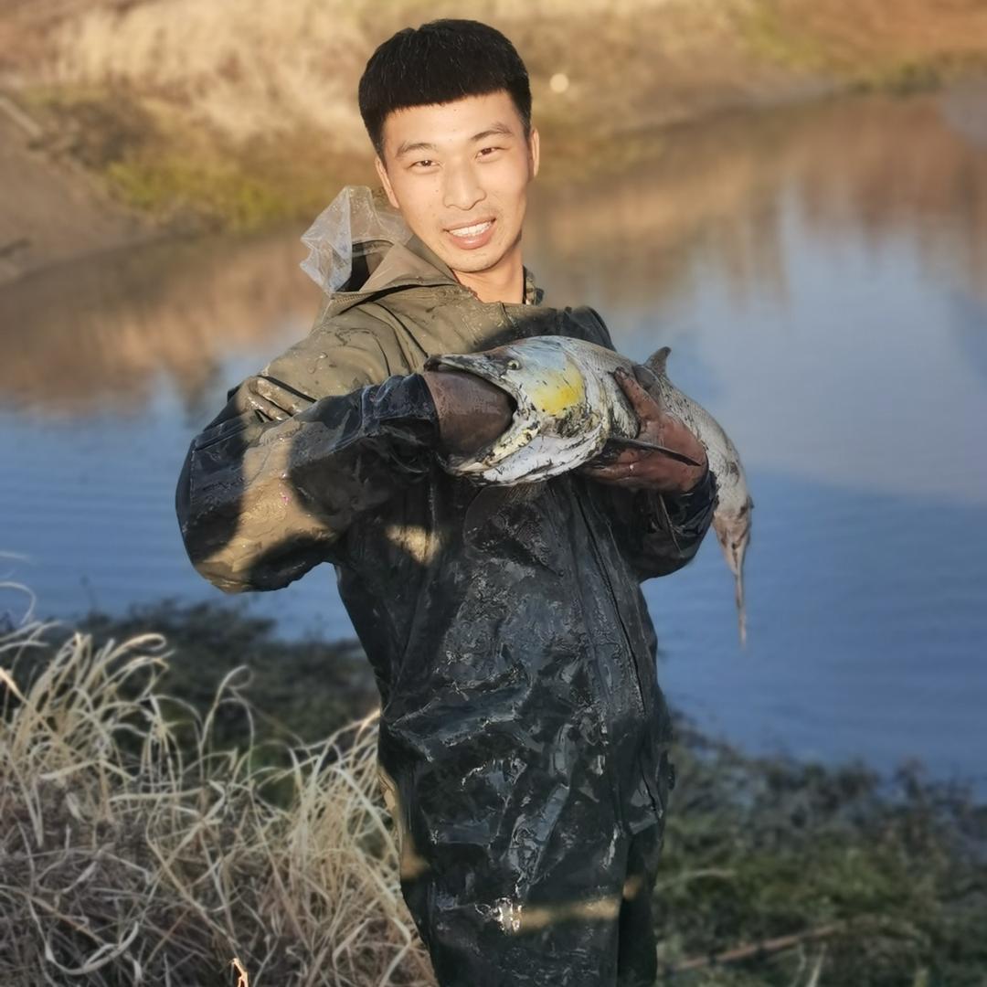 仔仔的户外