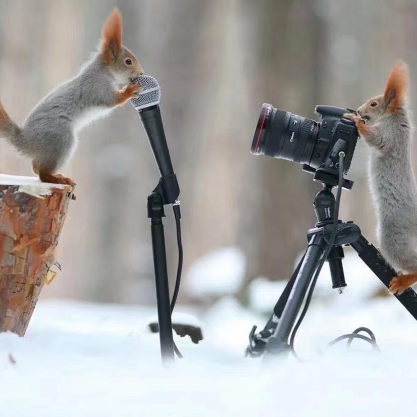 纸张花白了青春