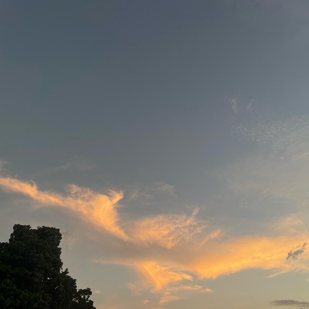 疯华正茂
