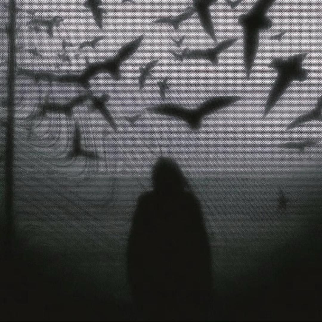 饶领领领领领领