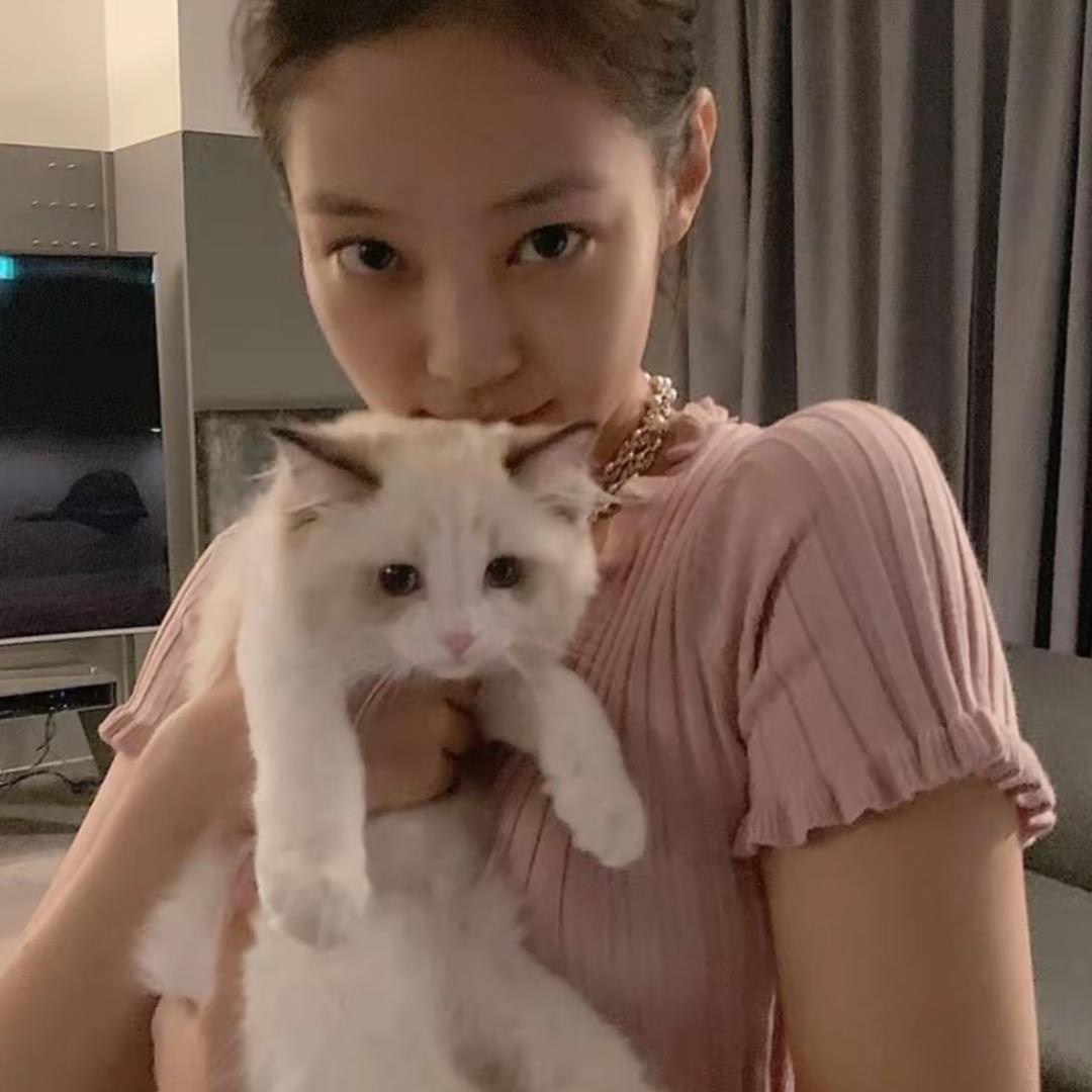 知秋不知秋