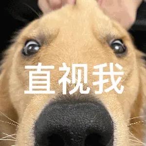 ༼༎ຶ෴༎ຶ༽