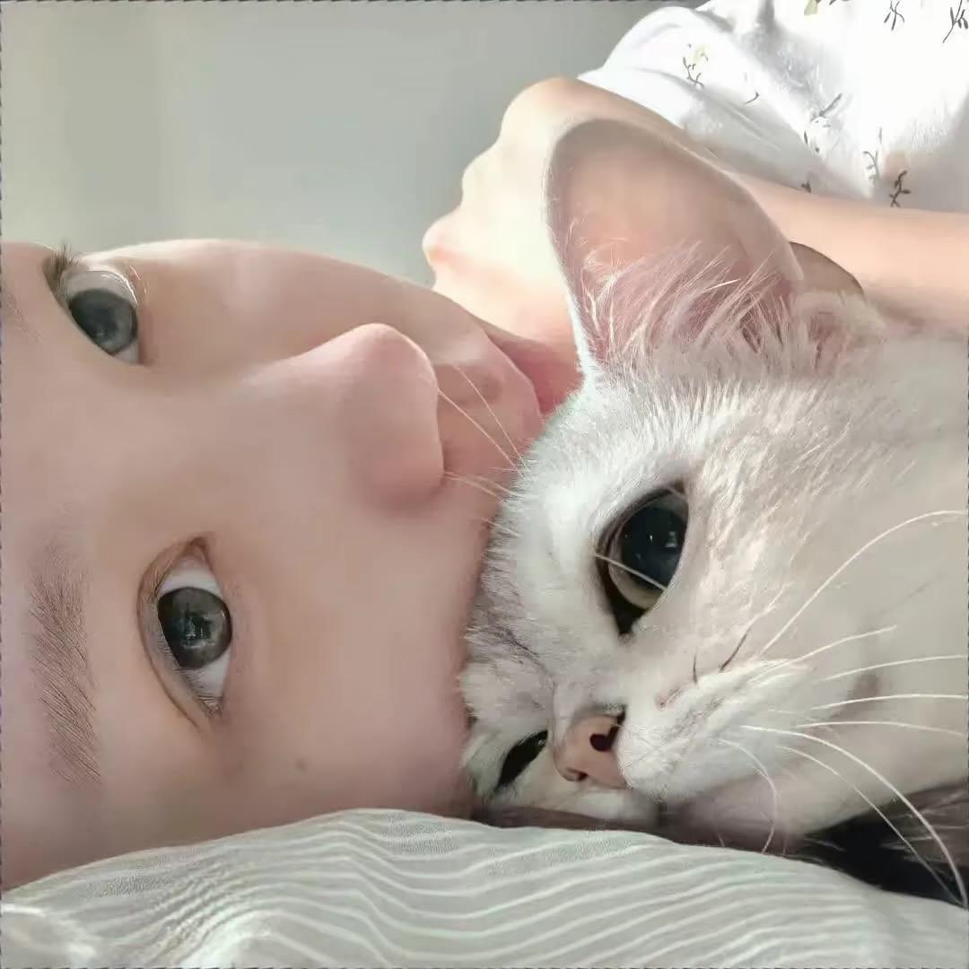 冰冰冷冰冰