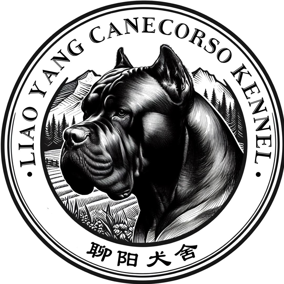 聊阳卡斯罗犬舍