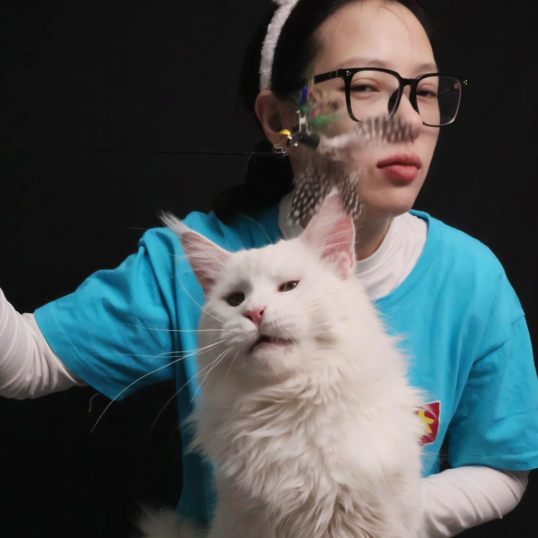 布依喵喵缅因猫舍