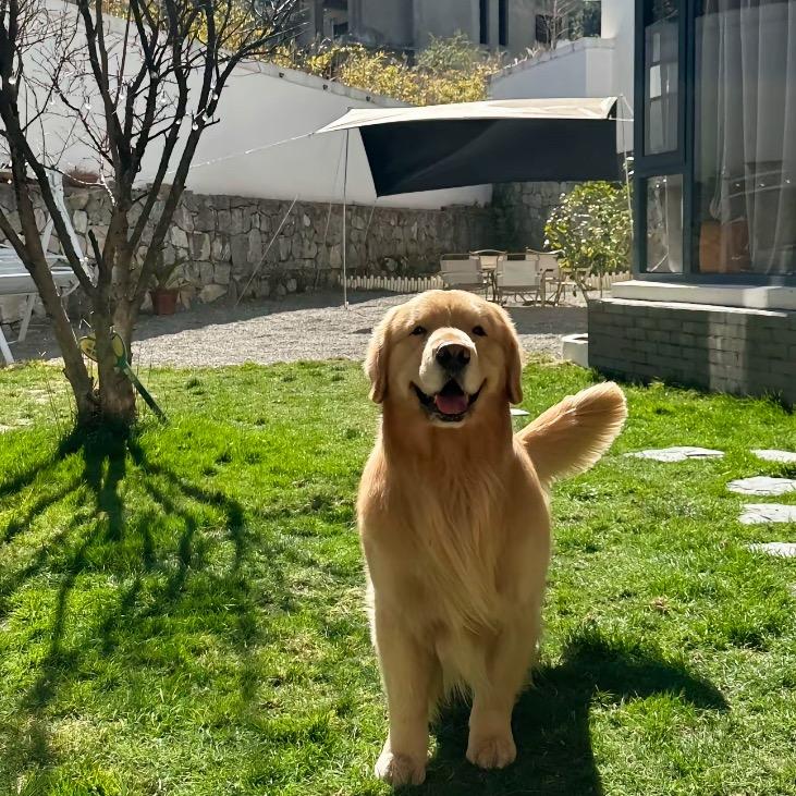 简直