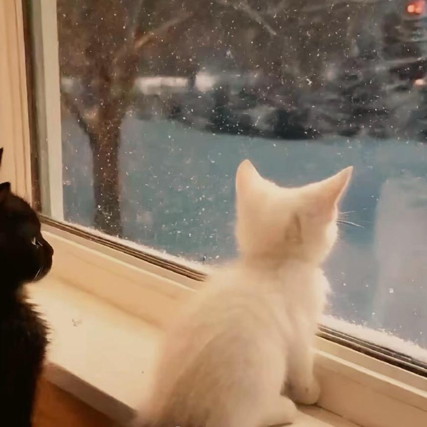 -Myu琪^