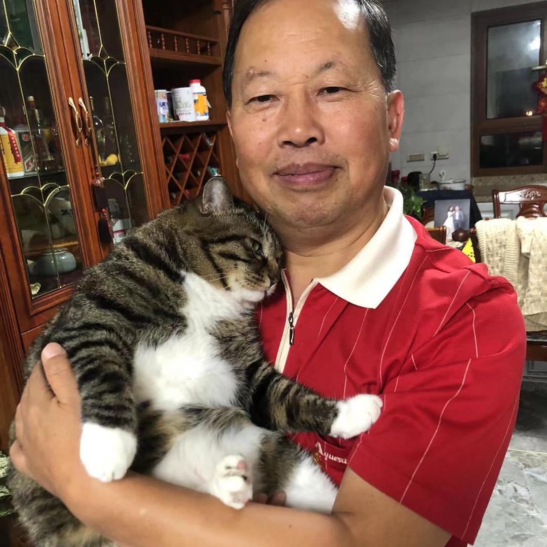 老安猫叔
