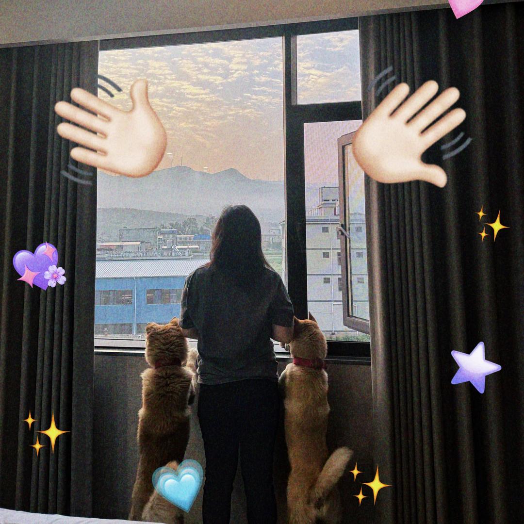 简简单单de小陈