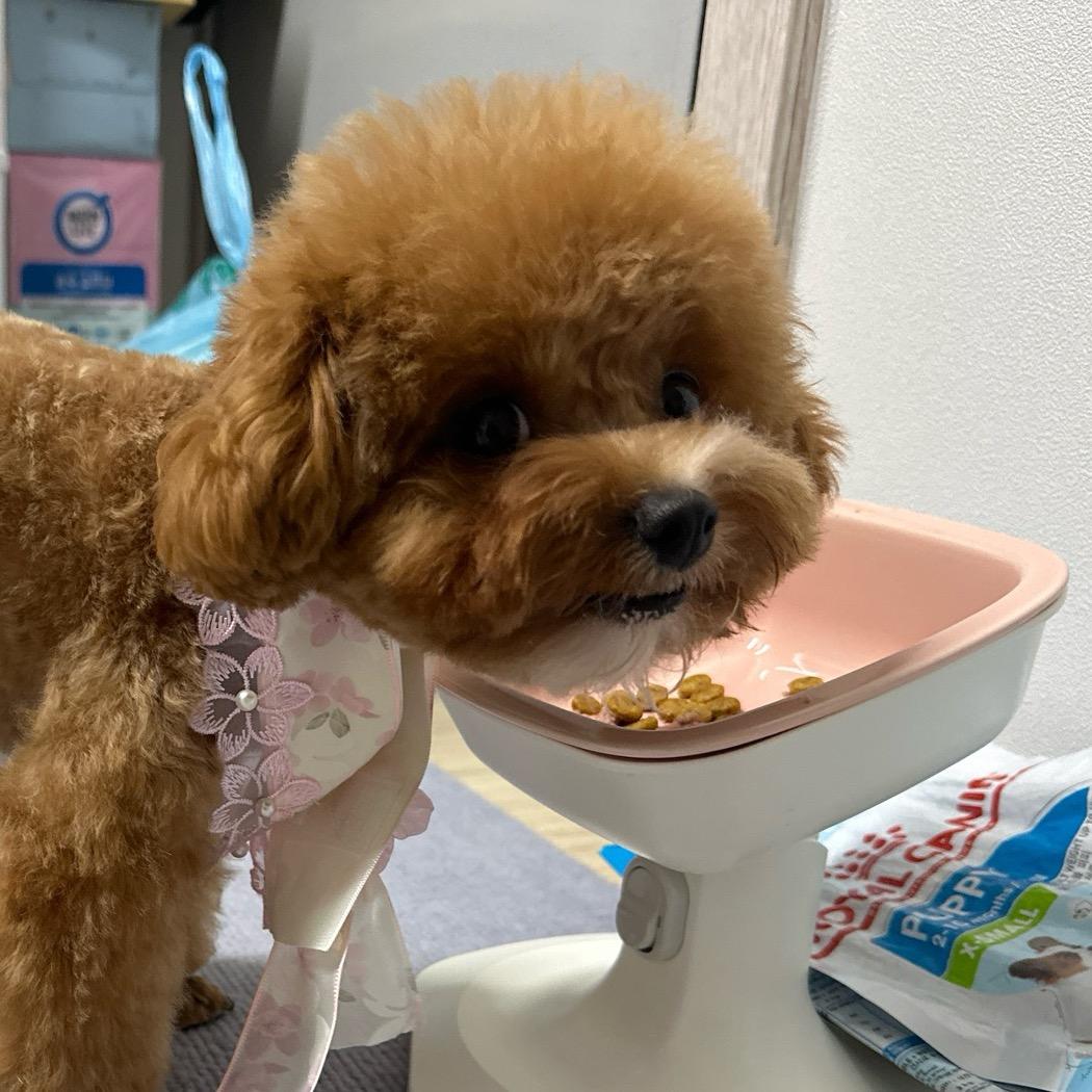 陈闹心