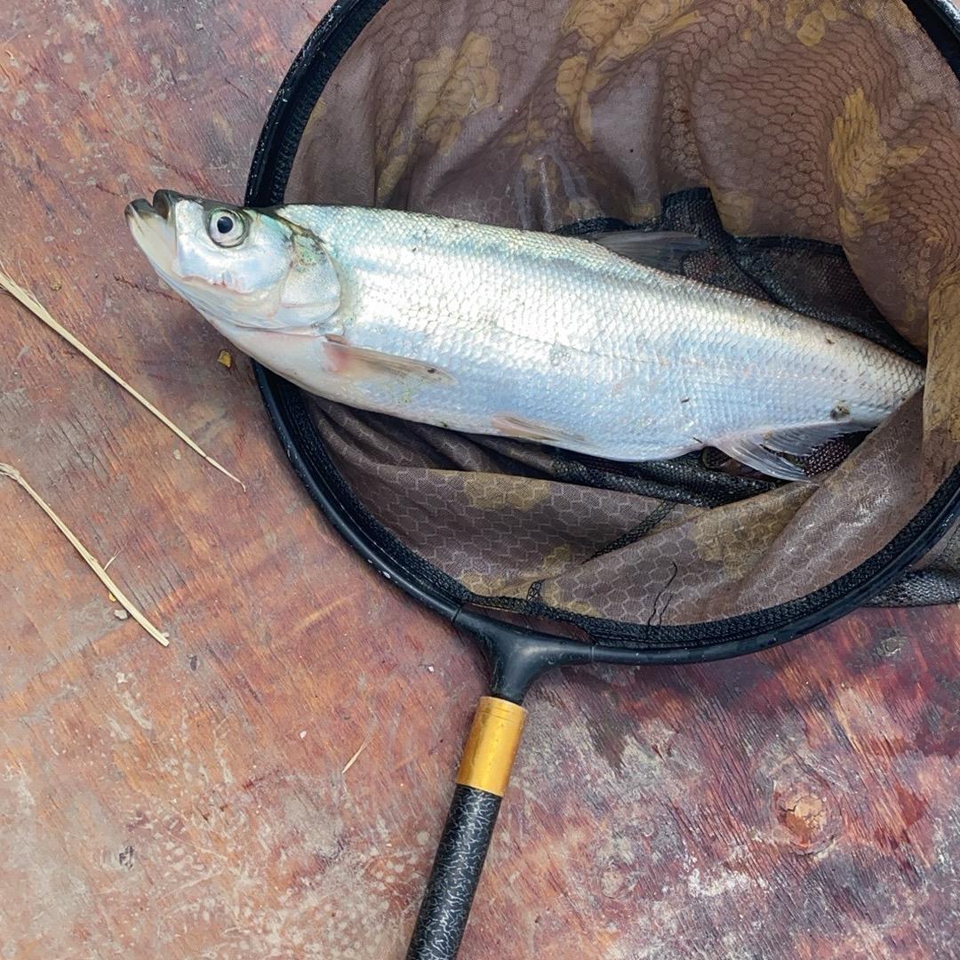 皇甫休闲垂钓园