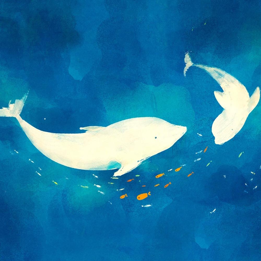 六哥哥|恶魔巫师|西湖男蕃薯|山阴玉堂春