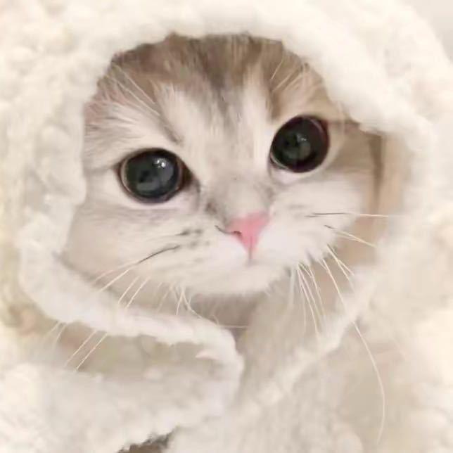 心事何解