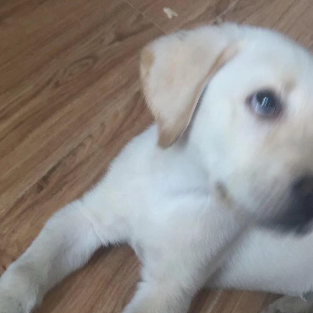 至尊宝😶‍🌫️